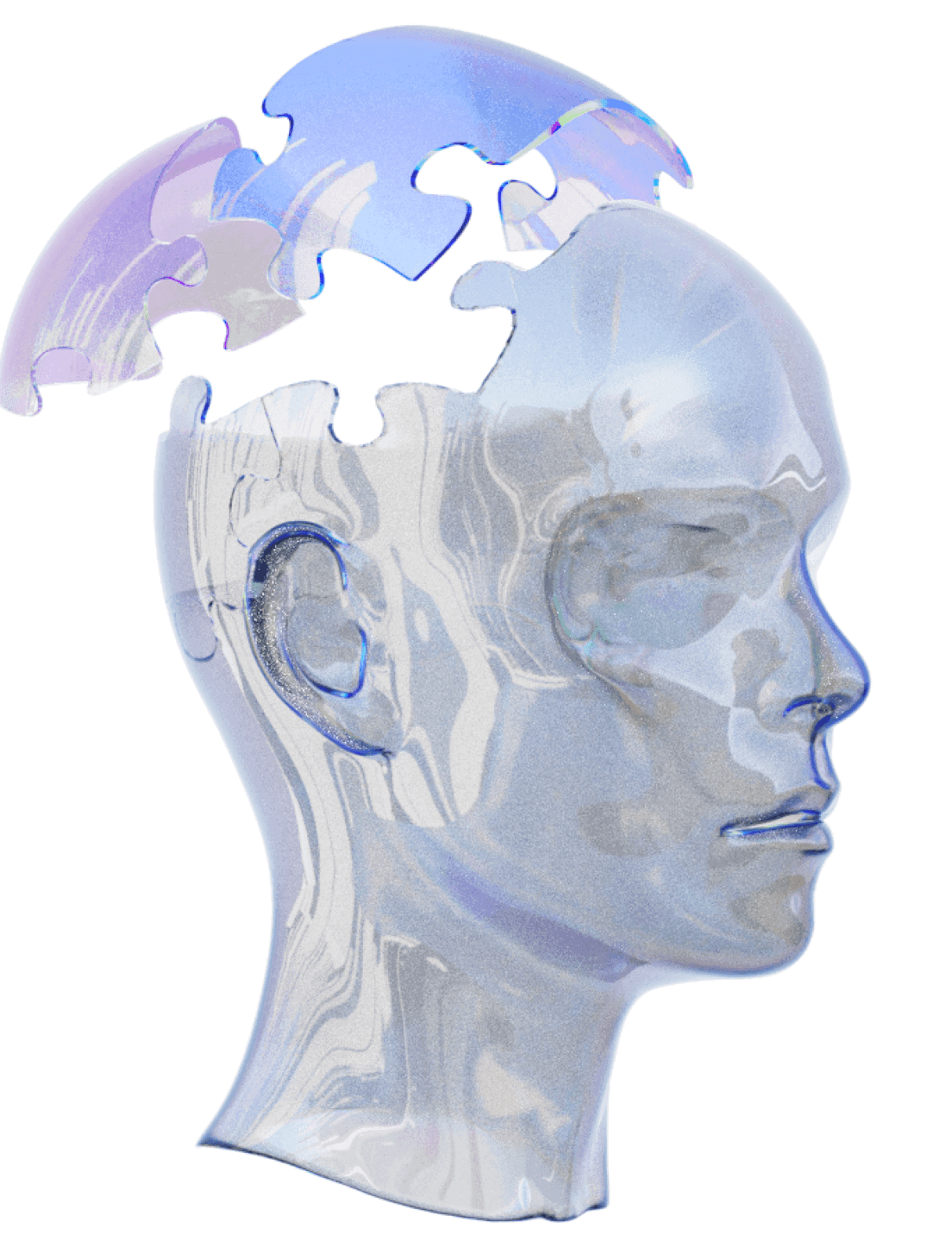 Head